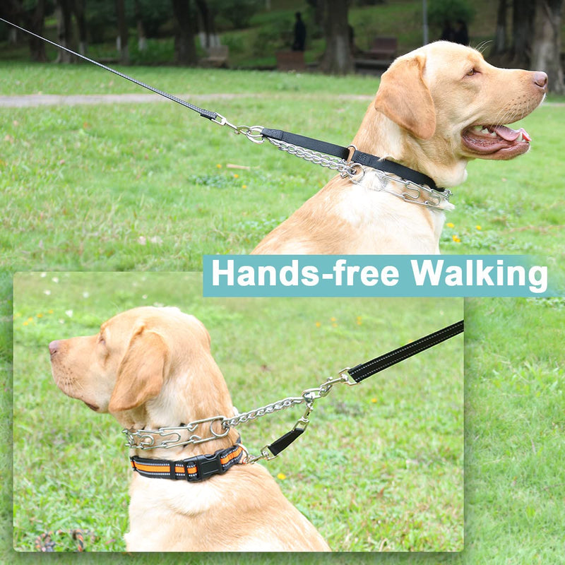 Mayerzon Backup Collar, Double Ended Clip and Carabiner for Prong Collar, Pinch Collar and Dog Harness, Safety Use for Walking and Training (M, Black) Medium,19.7in,Neck 14-18in
