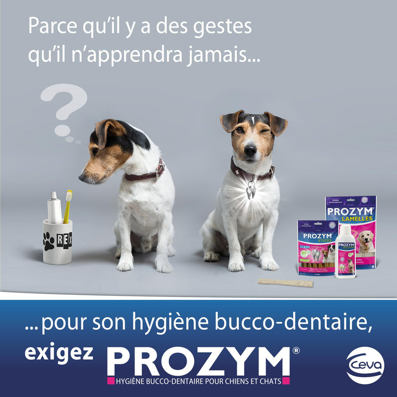 Prozym - Dental solution for dilution for dogs and cats - N°1 for veterinarians - Fresh breath - Anti-plaque - Healthy gums