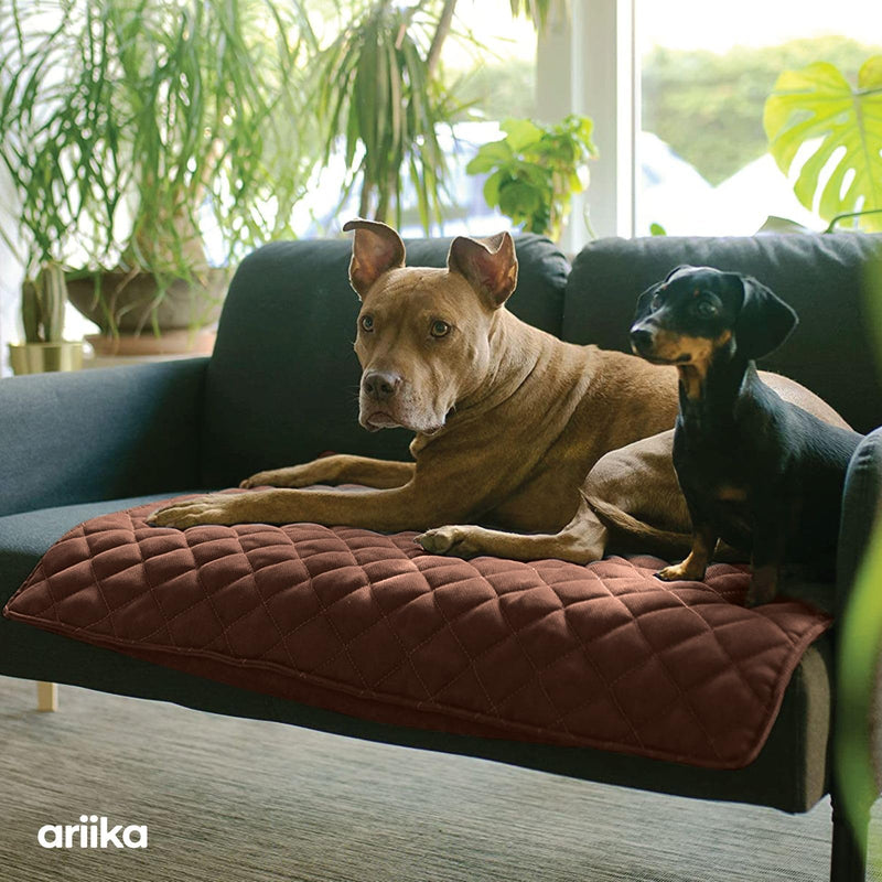 ariika Waterproof Couch Covers for Pets - Durable, Scratch-Resistant - Eco-Friendly Polyester & Cotton Mix, Odor-Free, Ideal for All Breeds - Dog Bed Cover for Sofa, Floor, Car Seats and Bed Brown 47.0"L x 35.0"W x 0.4"Th - PawsPlanet Australia