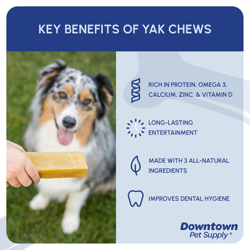 Downtown Pet Supply - Monster Yak Cheese Himalayan Dog Chews & Braided Bully Stick Dog Treats - Dog Dental Care & Plaque Remover for Teeth - Rawhide Free Dog Chews - Zinc, Calcium, Vitamin D - 1pk 1 Count (Pack of 1) - PawsPlanet Australia