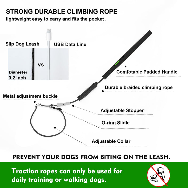 Slip Lead Dog Leash,Training Leash,No-Pull Slip Lead and Collar,Heavy Duty&Durable,4ft Thin Slip Lead for Small,Medium and Large Dogs (Blue1.2M Long) 4 ft BLUE - PawsPlanet Australia