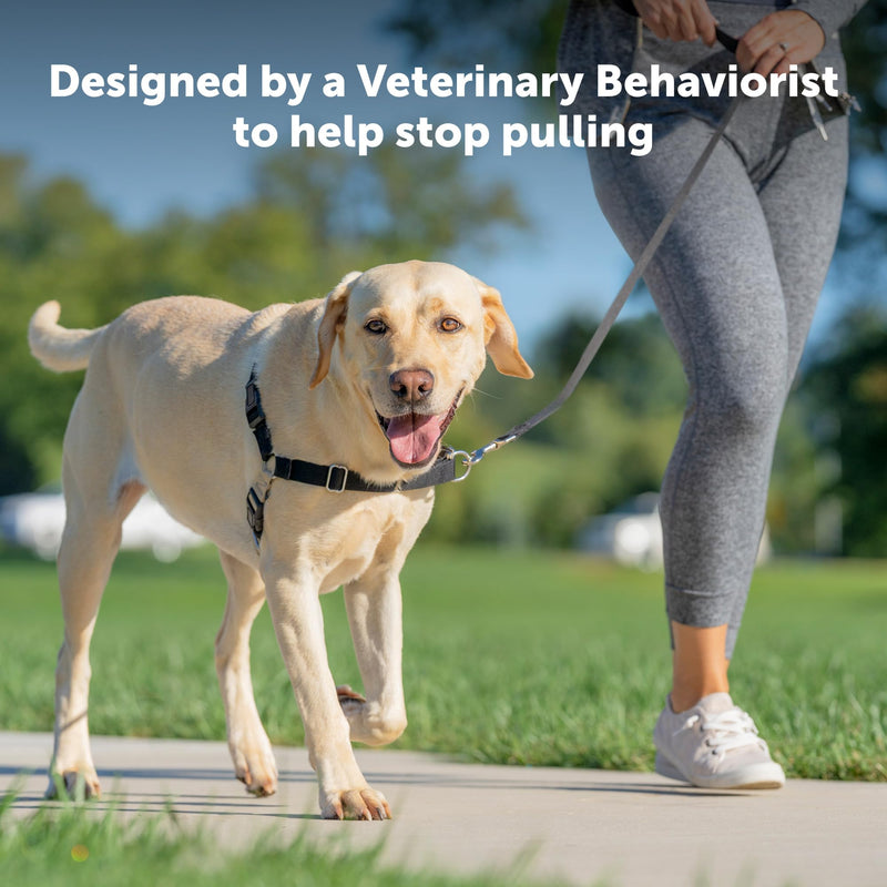 PetSafe Easy Walk Dog Harness - No Pull Dog Harness - Small/Medium, Raspberry - PawsPlanet Australia