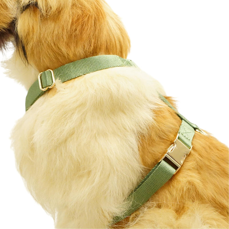 Nylon No Pull Dog Harness with Gold Metal Buckles,Easy Walking and Training Dog Harness (Sage Green, L) Sage green - PawsPlanet Australia