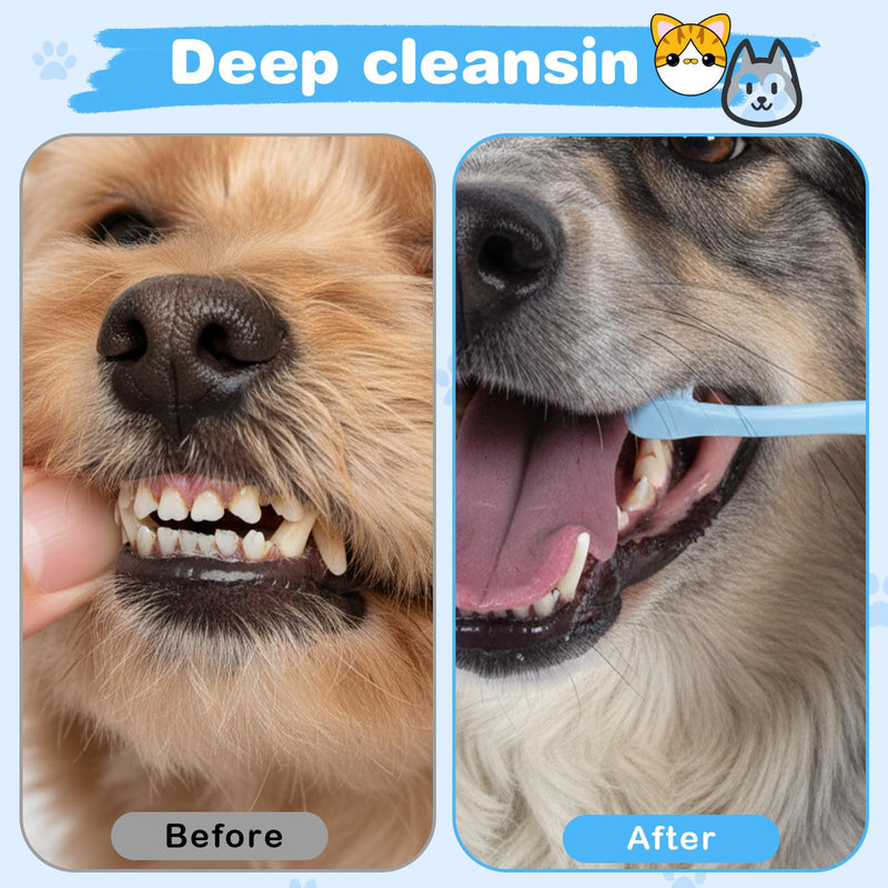 Dog Toothbrush for Small Breeds, 3 PCS Dog Toothbrushes Mini Head Soft Dog and Cat Toothbrush Kit for Puppy Kitten Small Pets Easy Teeth Cleaning & Dental Care (Blue, Pink, Green)