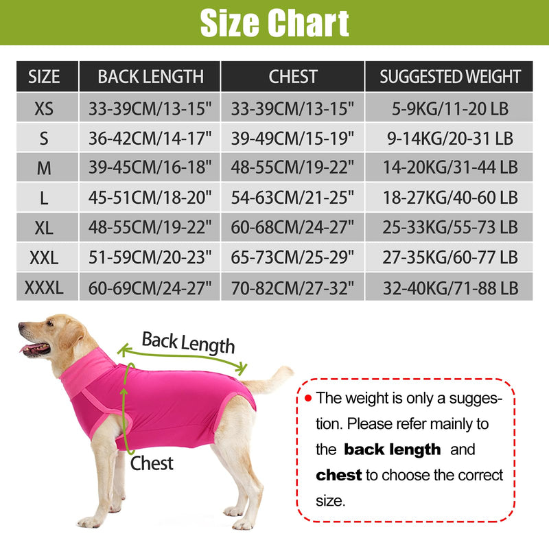 HEYWEAN Dog Recovery Suit - Female Spay Post Op Suit for Dogs After Surgery M Rose