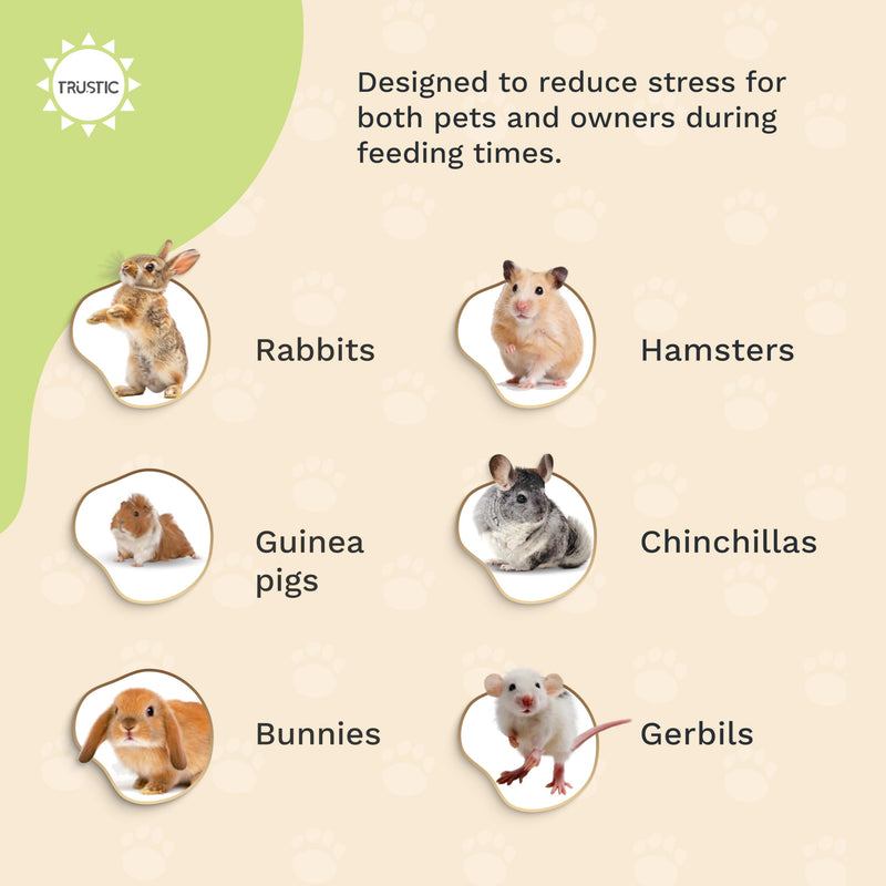 Hay and Food Feeder for Rabbit, Guinea Pig, Bunny, Chinchilla, Heavy Duty Metal Bin 5.5 x 5.5 x 7 inch - PawsPlanet Australia