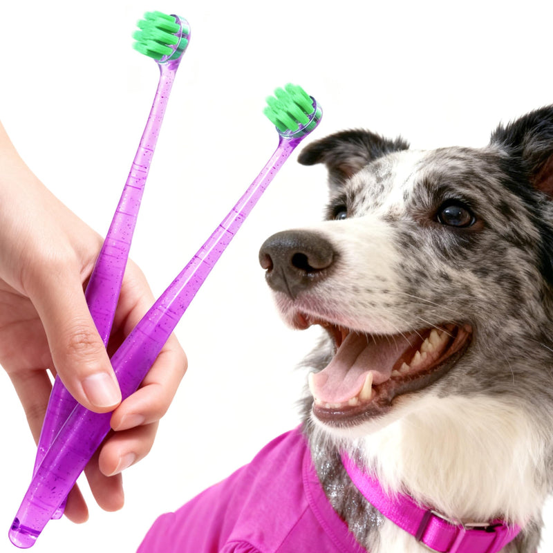 Dog Toothbrushes for Medium and Large Dogs&Cats, 2pcs, Ultra Soft Bristle, Long Durable Handle, Pet Tooth Brush and Dental Care Kit, Super Thin Bristle Gentle on Gum for Sensitive Pets, Red Violet