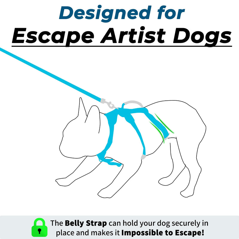 Escape Proof Dog Harness and Leash Set, Lightweight Dog Harness with Lift and Assist Handle, No Pull Reflective Pet Vest for Small Medium Dogs, Ideal for Puppy Walking and Training (Blue, S) Blue (Harness+Leash)