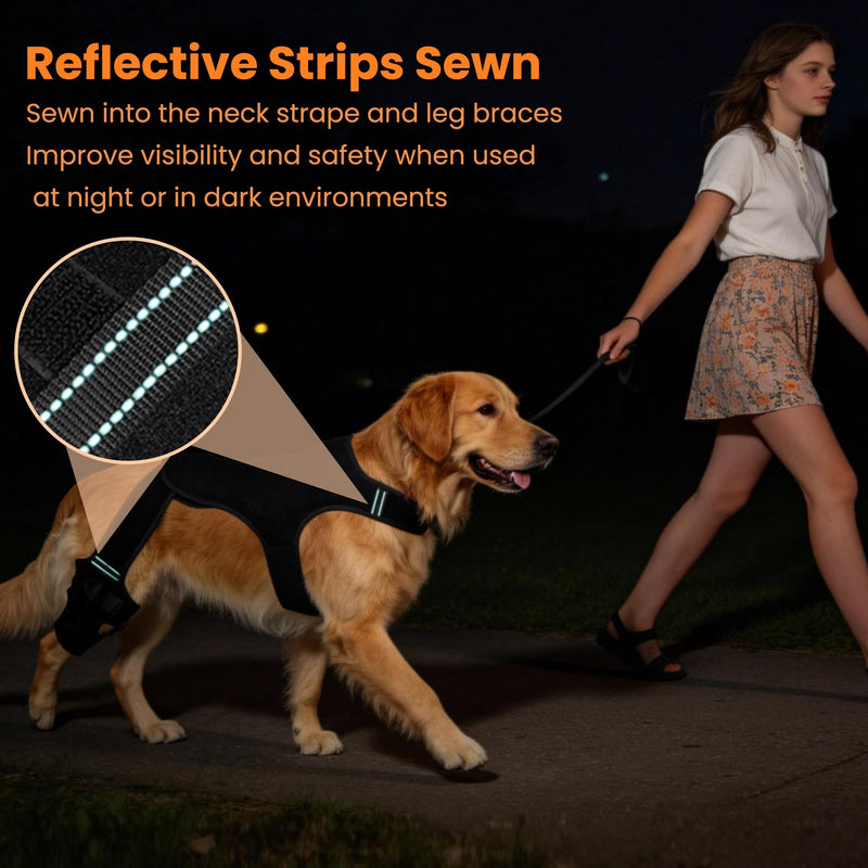 Dog Knee Brace for Torn Acl Hind Leg - Dog Back Legs Supports with 2 Stabilizers to Reduces Pain for CCL Injury, Hip Dysplasia & Joint Pain Relief, Adjustable Soft Breathable Leg Braces, M