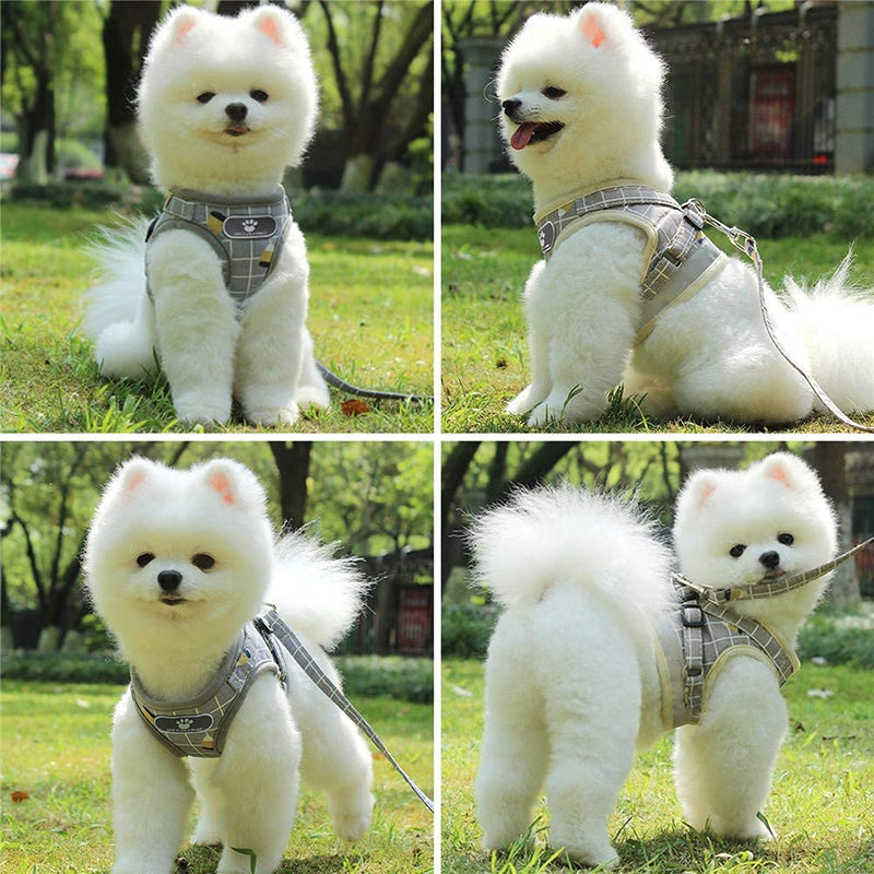 No Pull Small Dog Harness and Leash Set, Soft Mesh Plaid Puppy Harness, Adjustable & Comfortable Padded Reflective Vest for Small Dogs and Pet Kitten Walking(Gray, XS 10.2” – 11.4”;) Gray XS 10.2” – 11.4”; - PawsPlanet Australia