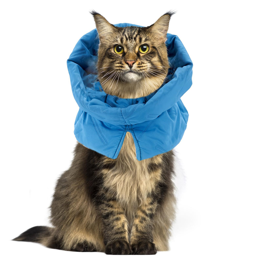 PINVNBY Cat Cone Collar Soft, Cat Recovery Collar Adjustable Elizabethan Cat Cone to Stop Licking and Scratching Foldable Water Resistant Neck Cone for Cats with Drawstring Design Not Block Vision（M） - PawsPlanet Australia