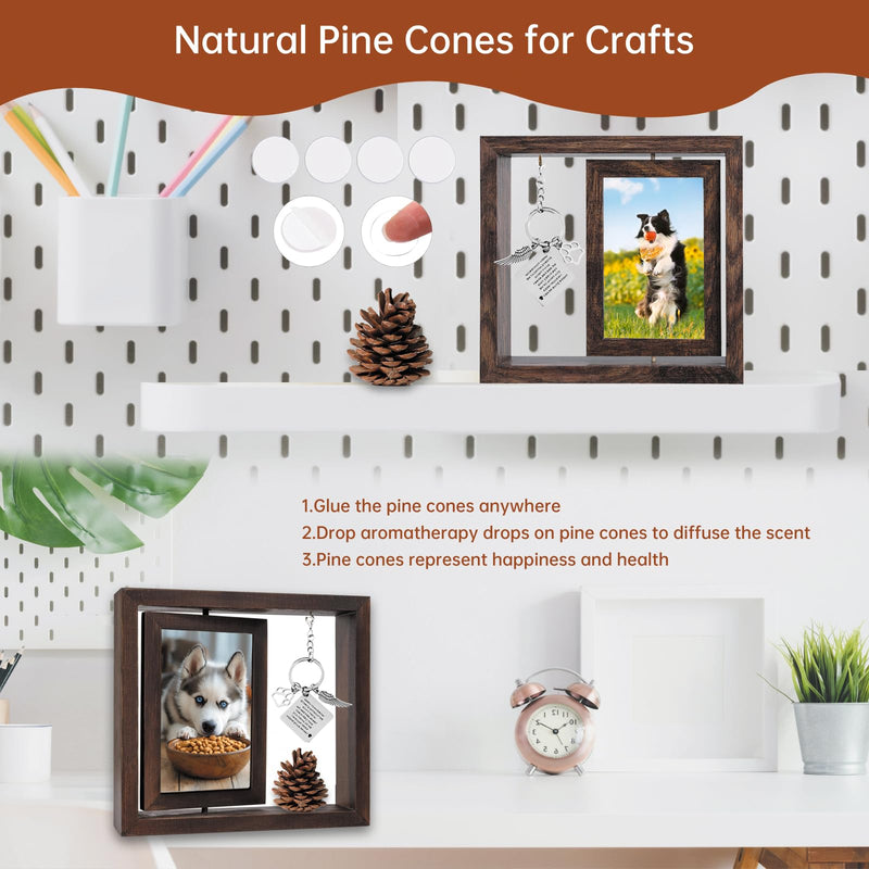 Pet Memorial Gifts for Dogs Cats, Dog Memorial Rotating Wooden Picture Frame for 4x6 Photo, Dog Bereavement Remembrance Picture Frame With Pet Paw Print Kit, Loss of Dog Sympathy Gift - PawsPlanet Australia
