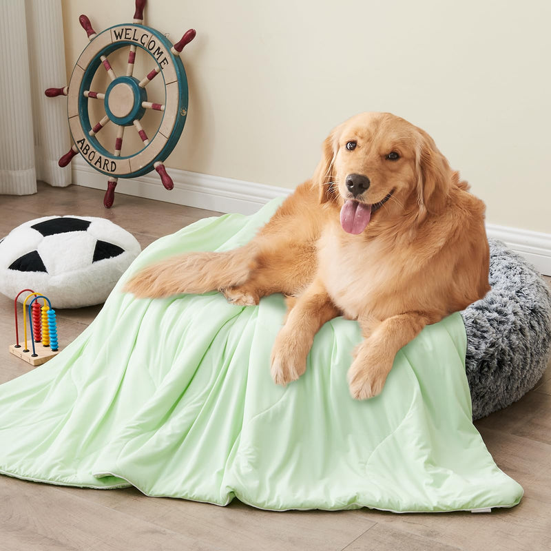Cooling Blanket for Dogs, Dog Blankets for Large Dogs, Q-MAX > 0.5 Cold Washable Dog Blanket, Soft Durable Self Cooling Cat Mat for Hot Weather, Green 40x50 40"x50" - PawsPlanet Australia