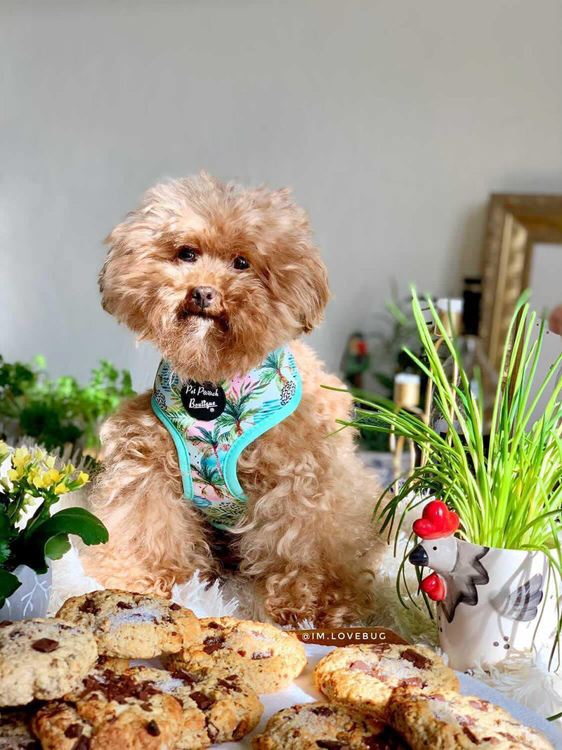 Pet Pooch Boutique Palm Trees Classic Dog Harness LARGE - PawsPlanet Australia