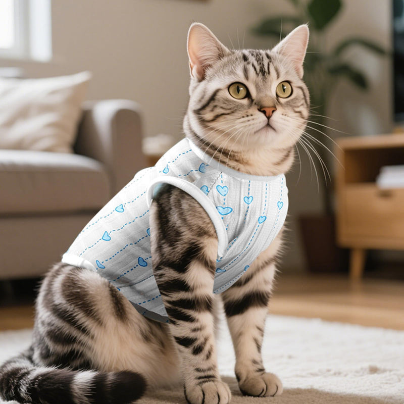 2 Pack Cat Recovery Suit and Cat Surgery Recovery Suit, Breathable Adjustable Cat Post Surgery Suit to Prevent Licking, Ideal Cat Suit Post Surgery,Cat clothes for Cats (M)