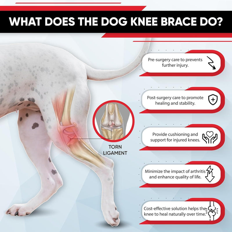 Dog Knee Brace for Hind Leg Support, ACL Recovery & Joint Pain Relief, Adjustable Compression Sleeve with Harness，Universal for Both Left and Right Legs (XS) XS