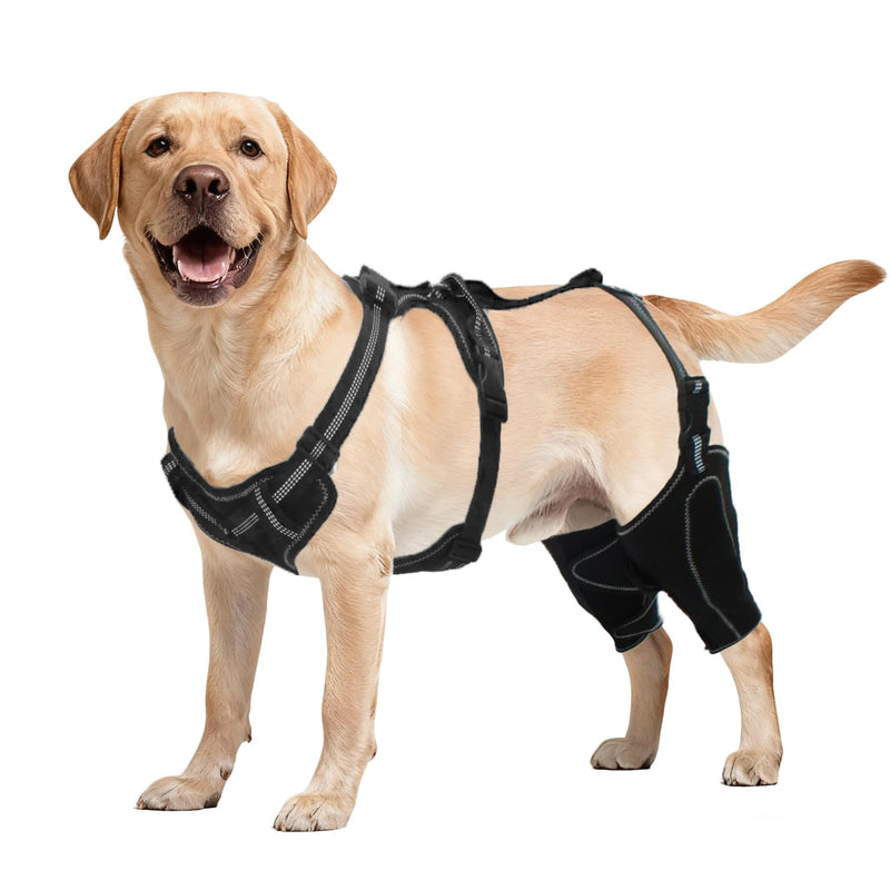 Dog Rear Leg Brace, Adjustable Hind Leg Splint Support for Torn ACL CCL, Luxating Patella & Hip Dysplasia, Breathable Non Slip Recovery Wrap for Medium Large Dogs M