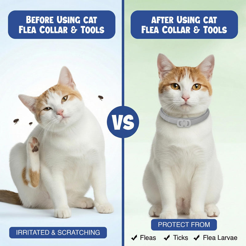 Cat Flea and Tick Collar (2 Pack) – Natural Waterproof Flea Collar for Cats & Kittens with 8 Month Protection Adjustable Cat Flea Collar Includes Tick Removal Tools & Flea Comb - PawsPlanet Australia