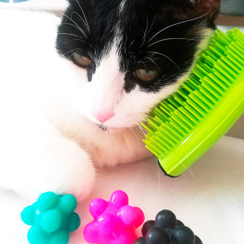 Michel Mercier Pet Detangling Brush Fine or Normal Fur - Pet Brush for Grooming, Detangling, Deshedding - Cat Brush and Dog Brush for Shedding - 1 pc