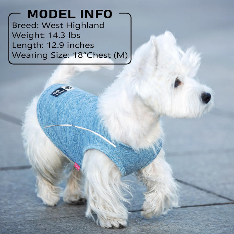 KYEESE 2Pack Reflective Dog Shirt, Lightweight Sun Protection Dog T Shirts for Small Dogs, Breathable Sleeveless Pet Tank Top Summer Dogs Clothes for Night Walking Outdoor, Lake Blue+Rose Red, M Medium (7-13lbs) 8# 2Pack (Lake Blue+Rose Red) - PawsPlanet Australia