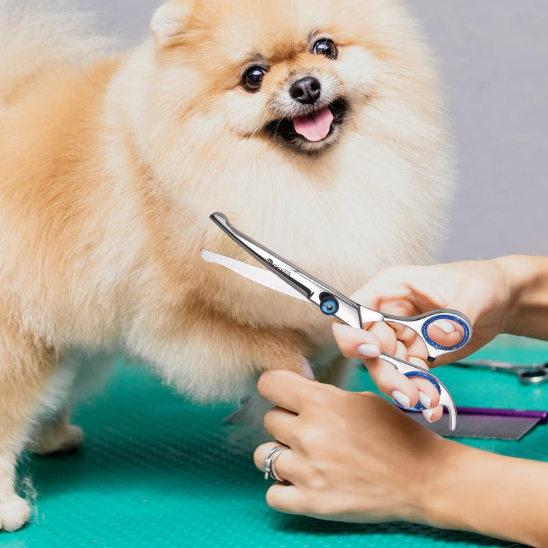 Dog Scissors Grooming Curved with Safety Round Tip, Dogs Pet Cat Hair Cutting Trimming Grooming Shears (Stainless Steel) (6 Inches) (Chrome) (Single Scissors) - PawsPlanet Australia