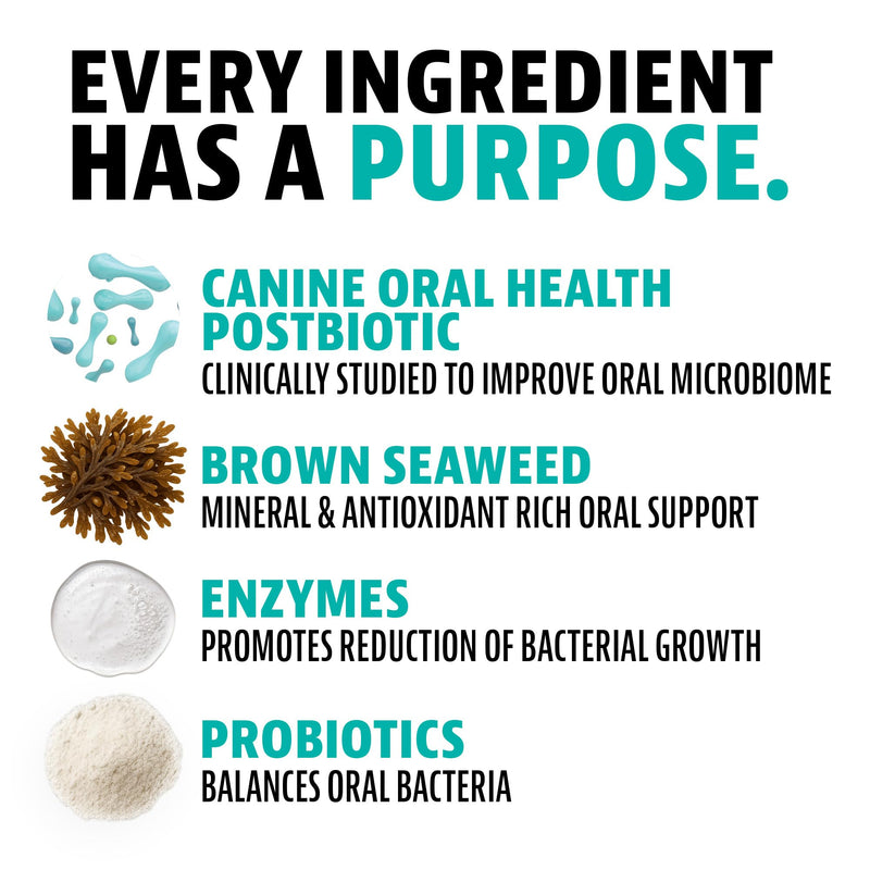 Dinovite Dog Dental Powder, Brush-Free Breath Freshener & Teeth Cleaning Dental Care Powder with Probiotics & Postbiotics, Oral Care Bad Breath Treatment, Large Dogs, Made in USA, 30 Day Supply 1.94 Ounce (Pack of 1) - PawsPlanet Australia