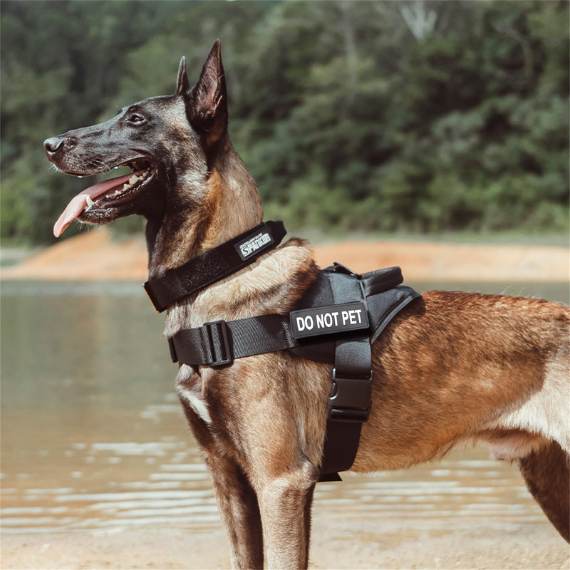 EXCELLENT ELITE SPANKER Tactical Dog Vest Training Military Patrol Service Dog Harness Easy Control Adjustable No-Pull Nylon Pet Harness with Handle for Small Medium Large Dogs(COB-XS) XS Coyote Brown - PawsPlanet Australia