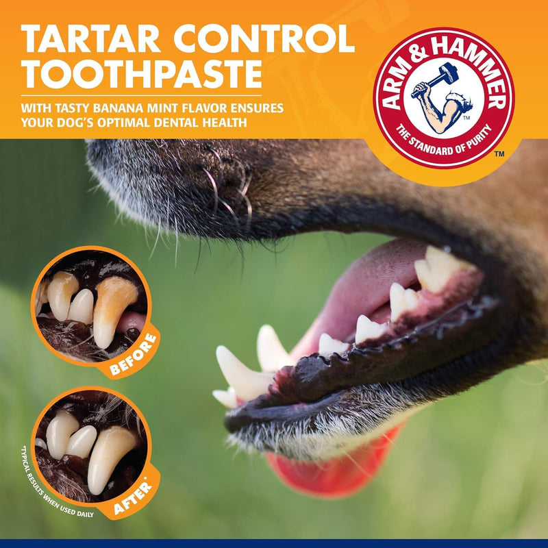Arm & Hammer for Pets Tartar Control Dog Dental Care Kit, Dog Toothpaste Kit with Toothbrush and Finger Brush for Oral Hygiene and Fresh Breath Care, Banana Mint Flavor, 2.5 oz, 3-Piece Kit - 2 Pack 2.5 Ounce (Pack of 2)