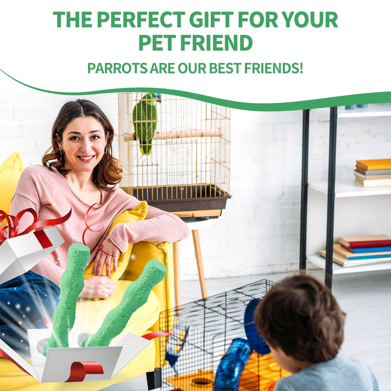2pcs Bird Beak Grinding Stone, Anti-Slip Parakeet Nail Trimming Stick Resin Beak Grinder Stone Perches Washable Claw Trimmer Stand for Parrot Budgie Cockatiel Cage Accessories - PawsPlanet Australia