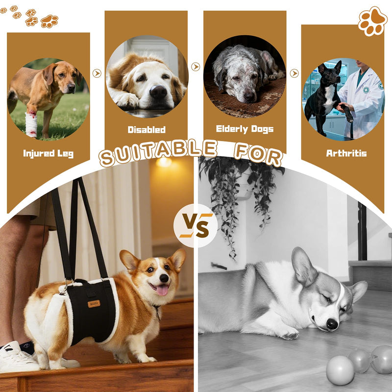 Dog Lift Harness Sling for Large Dogs - Adjustable Rear Leg Support with Padding & No-Slip Back Fixed Buckle, Hip Dysplasia/ACL/TPLO Surgery Recovery Aid, Dog Harness for Injured,Disabled/Senior Dogs L - PawsPlanet Australia
