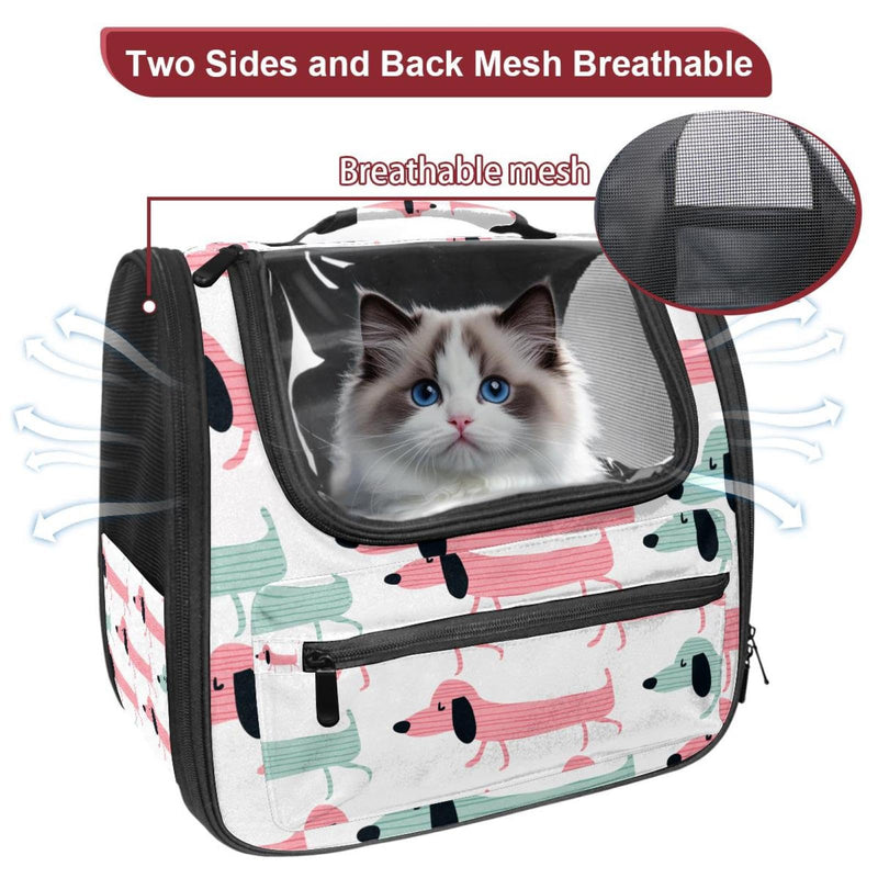 Funny Dachshund Dogs Pet Carrier Airline Approved Pet Carrier Bag Dog Carrier for Small Medium Cats Dogs Puppies Kitten Multi-colored 19 - PawsPlanet Australia