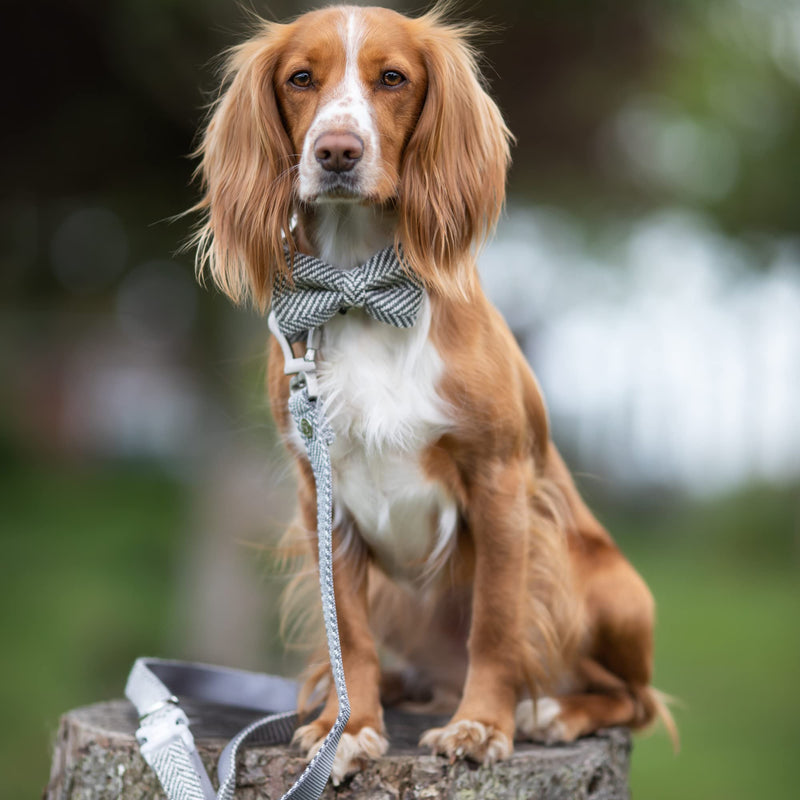 HUGO & HUDSON Tweed Dog Leash 4ft Training Padded Handle, Grey Herringbone, 47" x 0.6" XS/S - PawsPlanet Australia