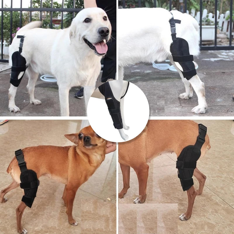 Knee Brace for Dog Torn Acl, Dog Knee Leg ACL Brace Adjustable Dog Braces for Back Leg for Support for Dog ACL CCL Recovery with Dog Leg Braces for Dog Hind Leg Reduce Pain & Muscle Sore (M) Medium - PawsPlanet Australia