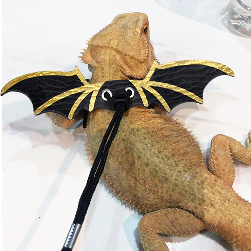 3 Size Pack Bearded Dragon Leashes and Harnesses, Bearded Dragon Harness, Soft Leather Detachable Adjustable Reptile Lizard Wing Leash (Black) Black - PawsPlanet Australia