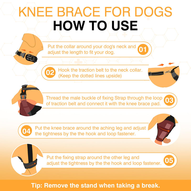 Dog Knee Brace Dog ACL Brace Hind Leg Dog Knee Brace for Torn ACL Hind Leg with Side Stabilizer ACL Brace for Dogs Pain Relief Dog ACL Knee Brace Extra Support Treats Kneecap Dislocation Arthritis-L L - PawsPlanet Australia