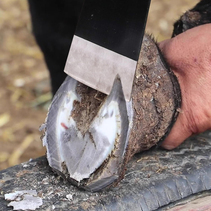 Steel Hoof Trim Shovel,Manganese Steel Horseshoe Shovel Firm Durable Hoof Tool，Clipping Trimming Shovel for Livestock Farm