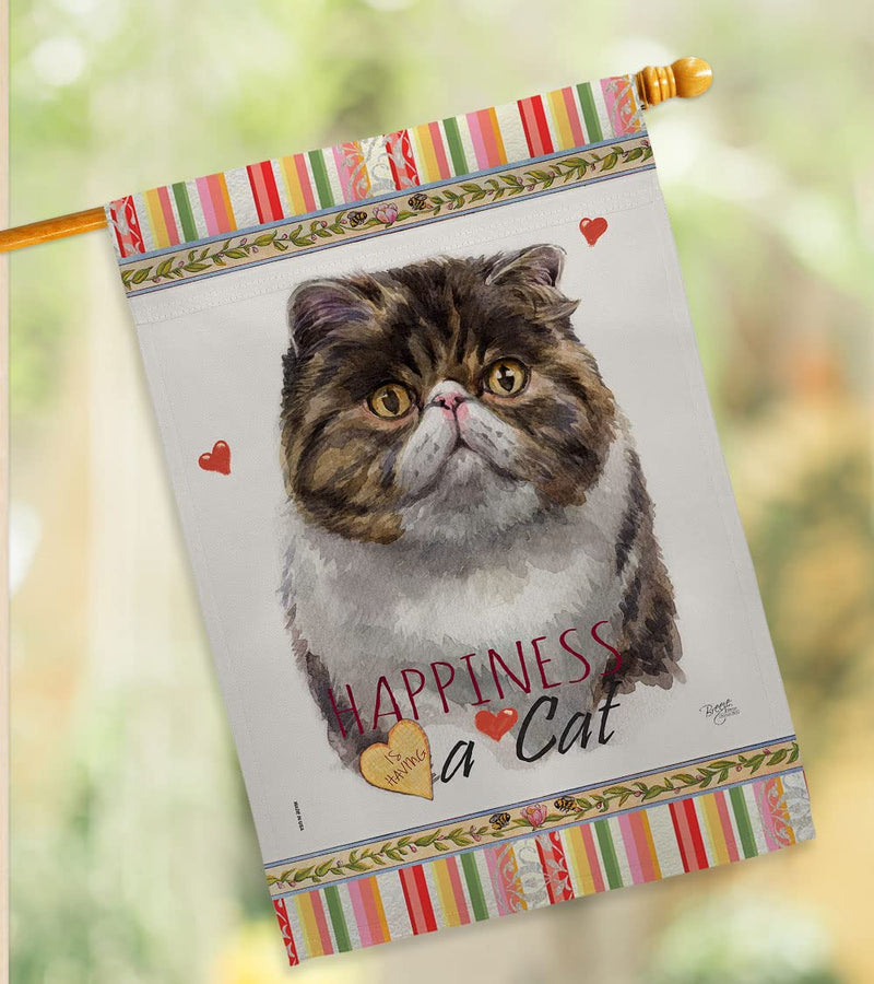 Breeze Decor Exotic Short Hair Happiness House Flag Pack Cat Kitten Meow Spoiled Paw Fur Pet Nature Farm Animal Creature Applique Banner Small Garden Yard Gift Double-Sided, Made in USA - PawsPlanet Australia
