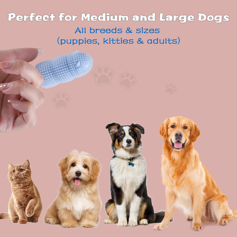 Dog Finger Toothbrush, 4 Pack Heavy Duty Dog Tooth Brushing Kit Soft Silicone Finger Toothbrush for Dogs, Cats (Blue and Pink) (4 Pack) - PawsPlanet Australia