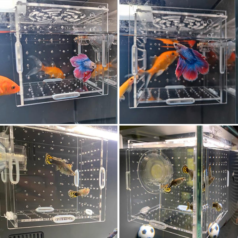 Acrylic Fish Breeding Box, Transparent Fish Isolation Box Hatchery Incubator with Suction Cups for Aquarium Fish Tank Guppy Shrimp Clownfish African Cichlids (4 * 4 * 4inch) 4*4*4inch - PawsPlanet Australia