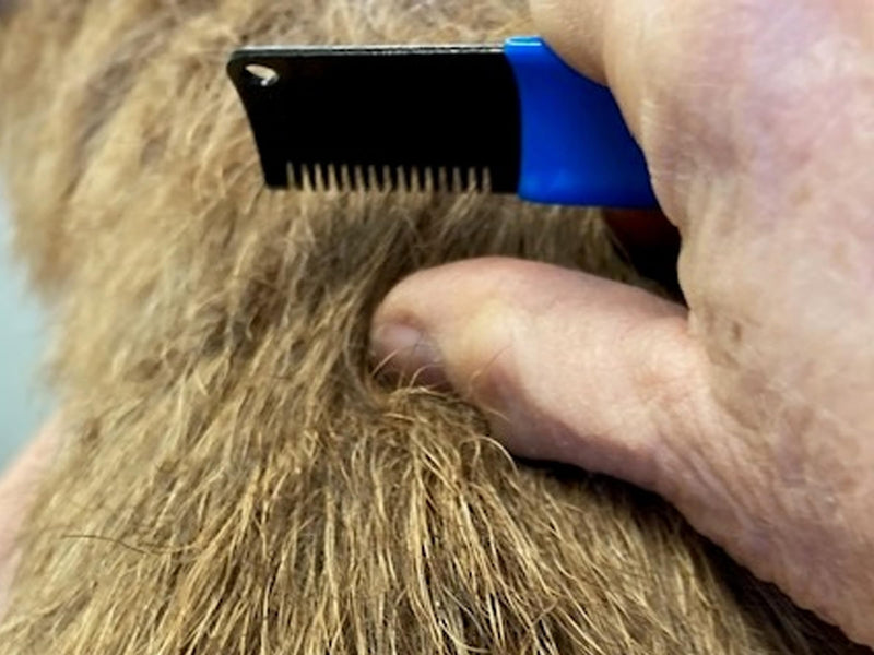 Masterclip (2 Pack) Stripping Knife for Dogs Pets Horses – Professional Hand Stripping Combs for Grooming & De Shedding - Coarse & Fine Hair Coats