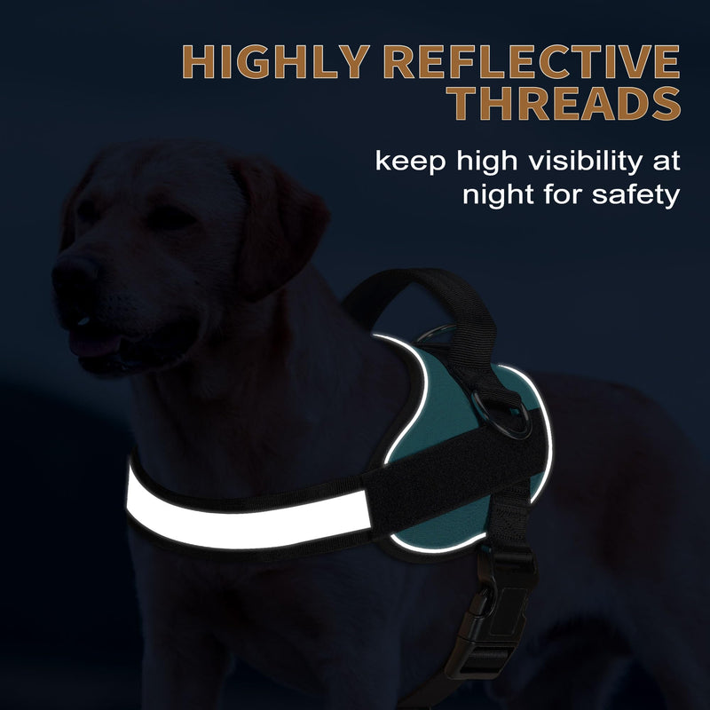 Haapaw Essential Dog Harness, No Pull Pet Vest with 3 Leash Clips, No Choke, Reflective, Adjustable and Padded, for Easy Walking and Training for Large Dogs(L, Blue) L - PawsPlanet Australia