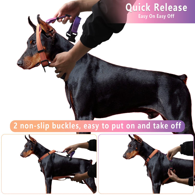 Roses&Poetry Dog Harness for Large Dogs, No-Pull Dog Harness and Leash Set Adjustable Reflective, Dog Vest Harnesses Comfort Padded Handle, Pet Harness for Training Outdoor Walking（Mistyrose-L L Mistyrose - PawsPlanet Australia