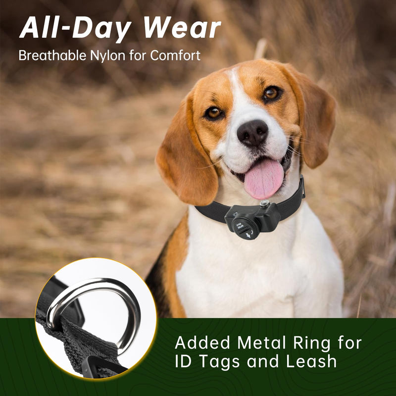 Replacement Collar Compatible with PetSafe Receiver Collars, Adjustable Nylon Dog Collar, with Quick Release Buckle, Easy to Install, Shock Collars Replacement Strap Fits for 15-25 Inch Neck Sizes - PawsPlanet Australia