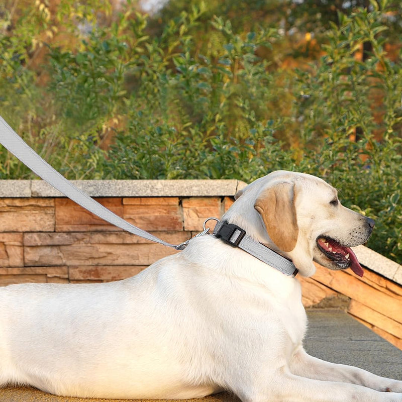 Dog Leash 6 FT Padded Handle Nylon Reflective Dogs Leashes for Medium Dogs Silver Medium : 3/4" x 6 FT Reflective Silver - PawsPlanet Australia