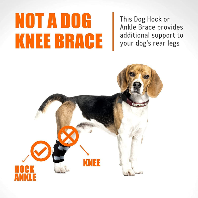 NeoAlly Cat and Dog Ankle Brace Pair Canine Rear Leg Hock Support with Safety Reflective Straps for Hind Leg Wounds Heal and Injuries and Sprains from Arthritis (XS Pair) XS (1 Pair) Black