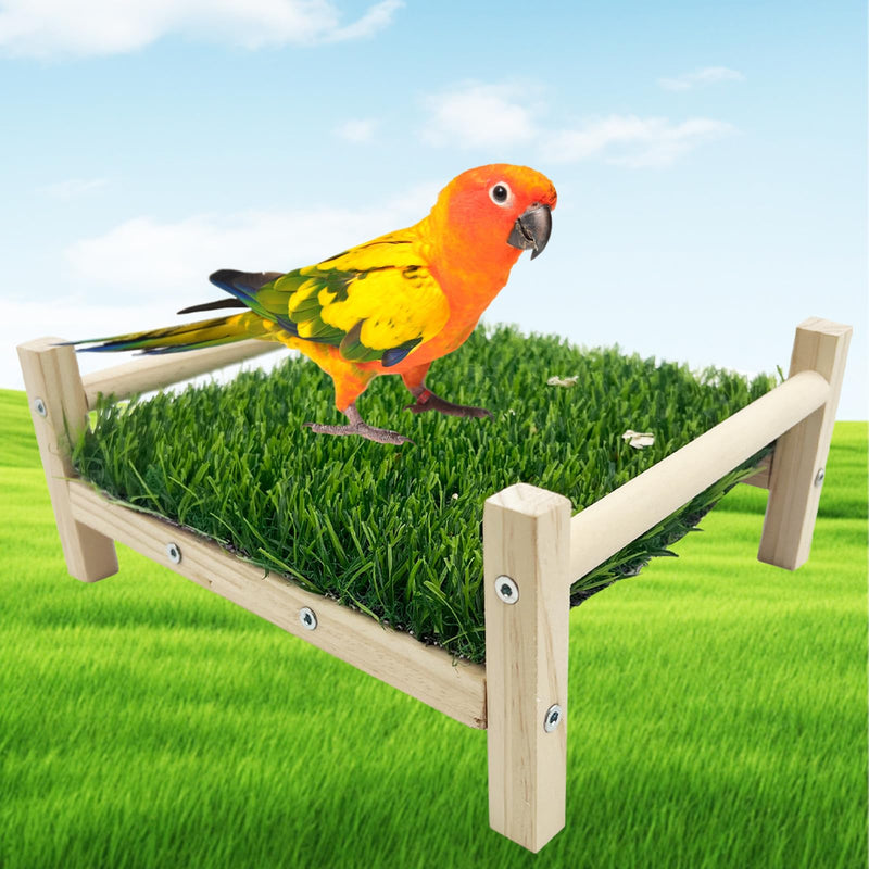 Bird Foraging Bed, Parrot Hammock Bed, Parrot Grass Perch Bed, Bird Perch Conure Platform Grass Forage Toy for Parakeet, Parrot, Cockatiel, Lovebird, Budgie