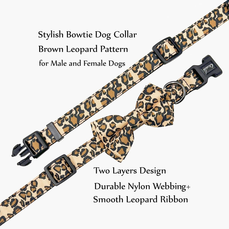 Bowtie Dog Collar and Leash Set, Nylon Webbing with Leopard Ribbon, 5ft Matching Leash, for Small Dogs.(S, Leopard) - PawsPlanet Australia