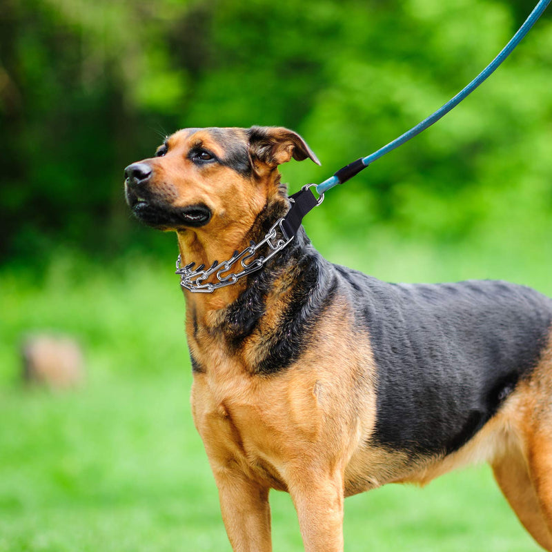 Prong Collar for Large Dogs, Dog Pinch Collar,Dog Training Collar,High Strength Quick Release Metal Buckle,Comfort Rubber Tips,for Large Dogs (4.0mm, 23.6-Inch, Black) Large,4mm,23.6-In, with Buckle - PawsPlanet Australia