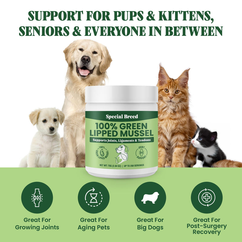 Green Lipped Mussel Powder for Dogs & Cats - 100% New Zealand Green Lipped Mussels - Natural Hip & Joint Supplement for Joints, Tendons, Ligaments, Muscles - 75 Grams - Up to 250 Servings