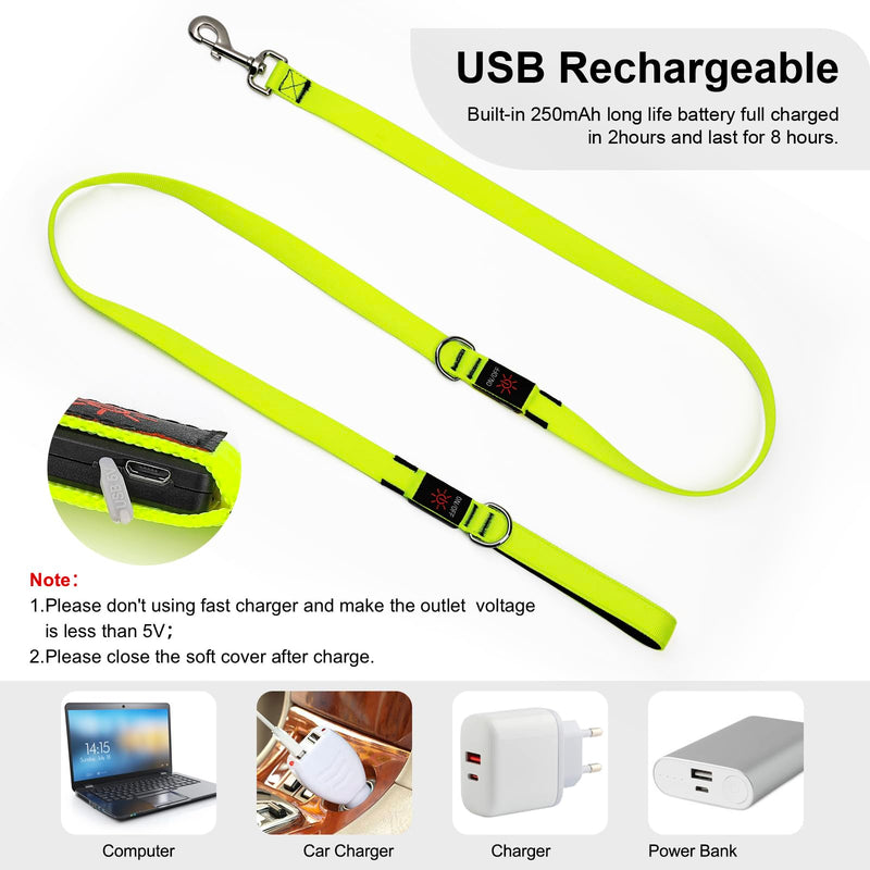 Colaseeme Light Up Dog Leash, LED Pet Leashes USB Rechargeable, Glow Safety Dogs Lights at Night (6FT,Green) Green 6FT